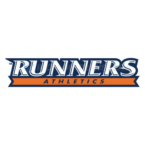 Texas SA Roadrunners Iron-on Stickers (Heat Transfers)NO.6545